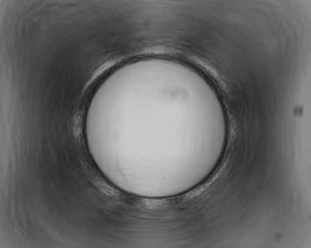 X0000100761258200806190901