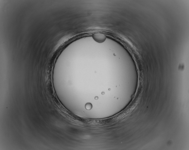 X0000100761259200806190901