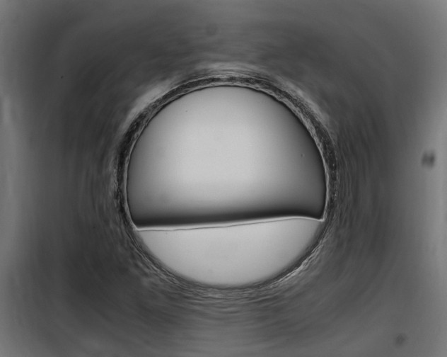 X0000100761261200806190901
