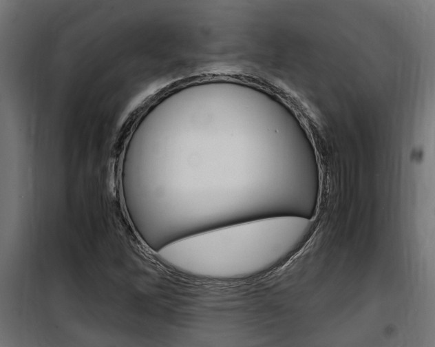 X0000100761262200806190901