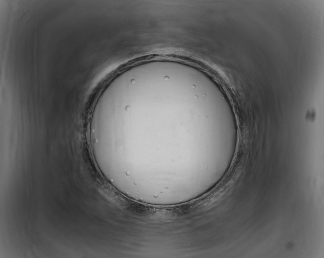 X0000100761263200806190901