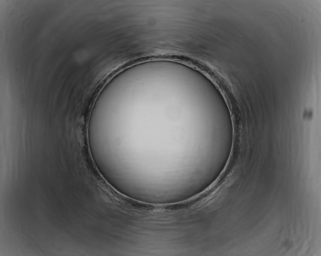 X0000100761265200806190901