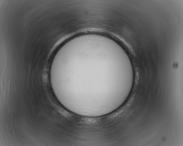 X0000100761266200806190901