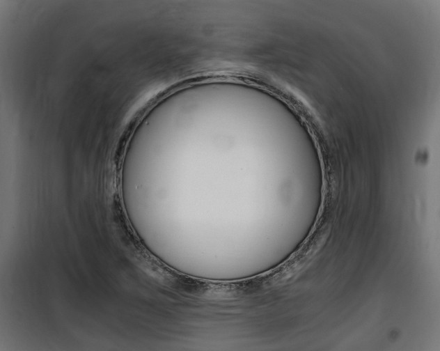 X0000100761267200806190901