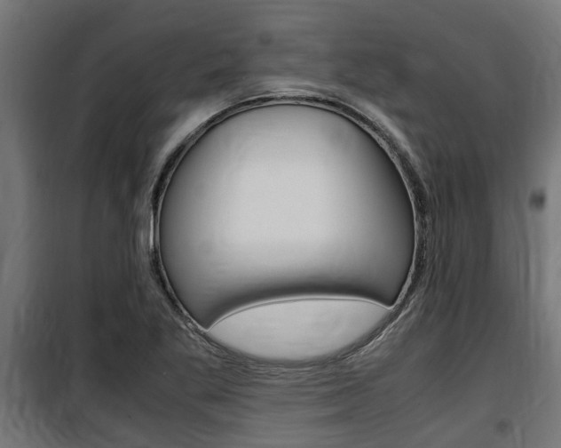 X0000100761269200806190901