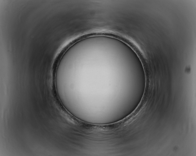 X0000100761270200806190901
