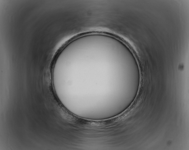 X0000100761271200806190901