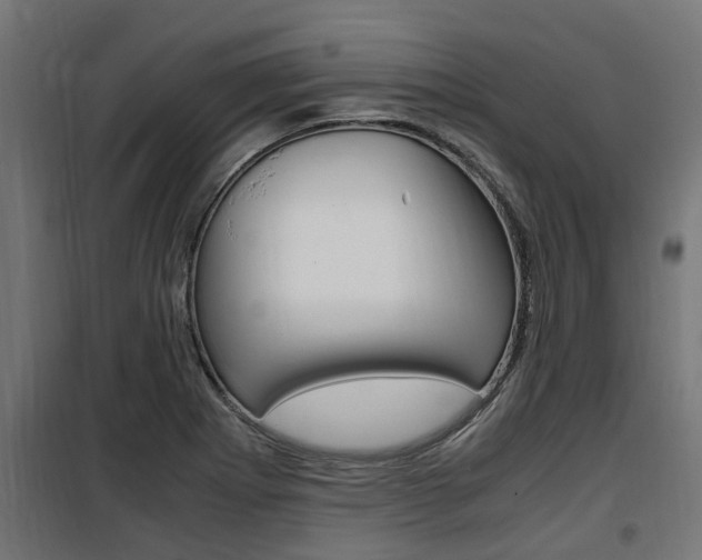 X0000100761273200806190901