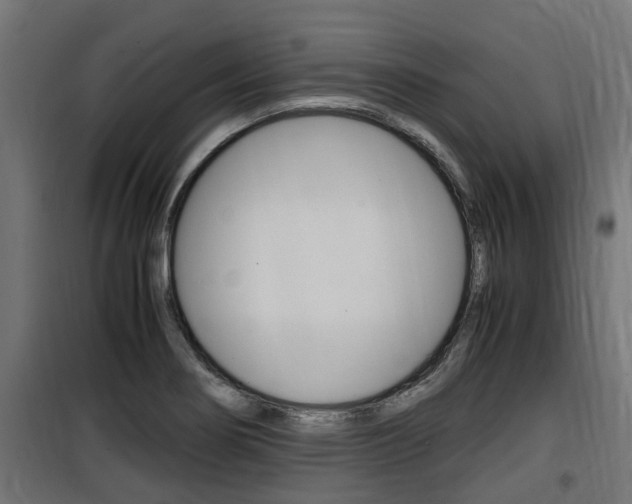X0000100761274200806190901