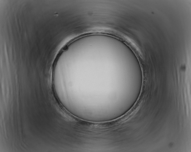 X0000100761275200806190901