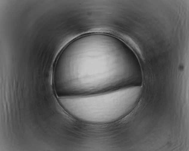 X0000100761276200806190901
