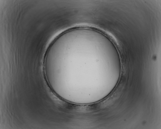 X0000100761279200806190900