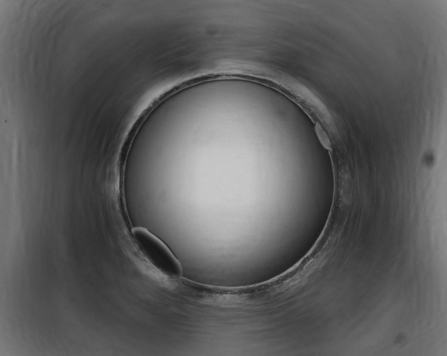 X0000100761280200806190900