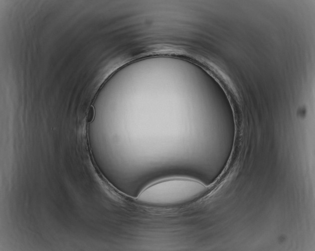 X0000100761281200806190900