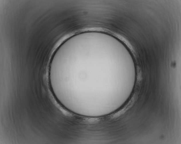X0000100761282200806190900