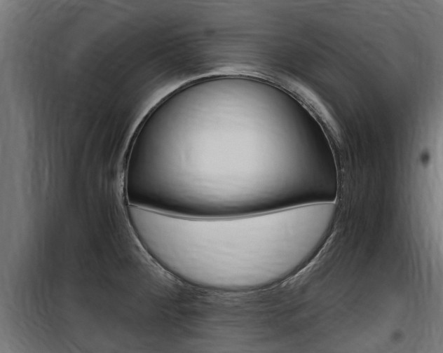 X0000100761284200806190900