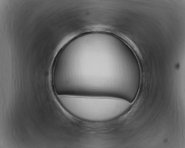 X0000100761285200806190900
