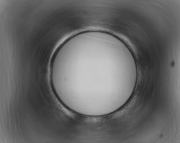 X0000100761286200806190900