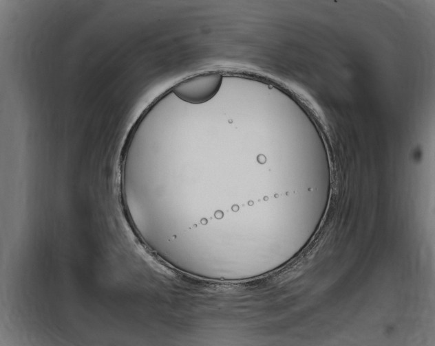 X0000100761287200806190900