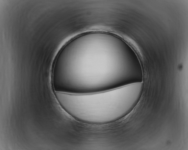 X0000100761288200806190900