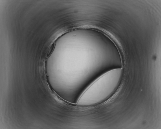 X0000100761289200806190900