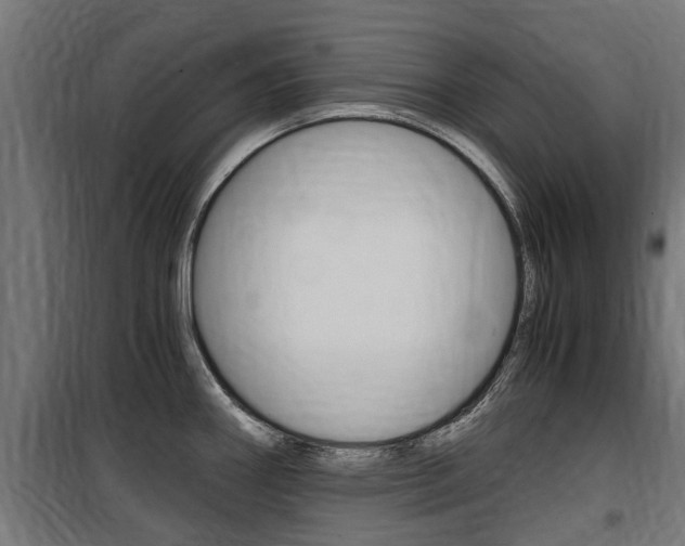 X0000100761290200806190900