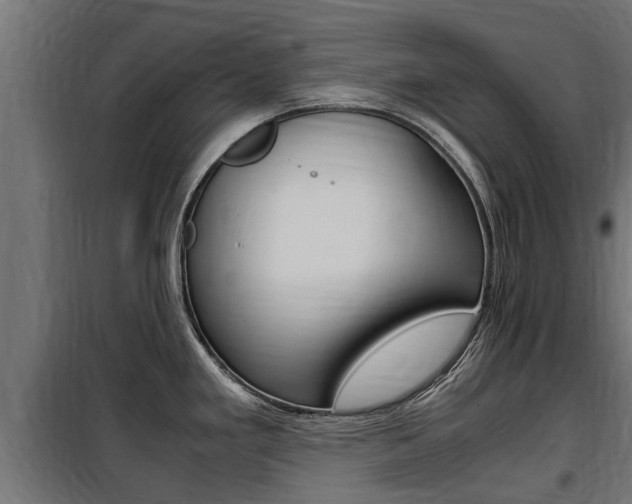 X0000100761293200806190900