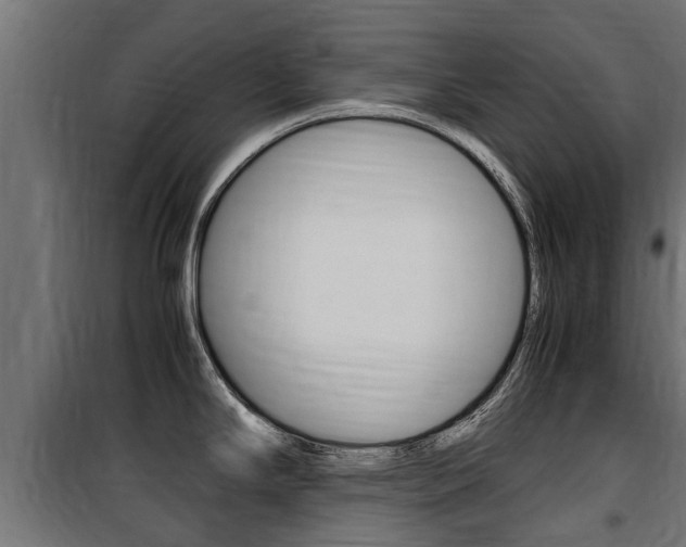 X0000100761294200806190900