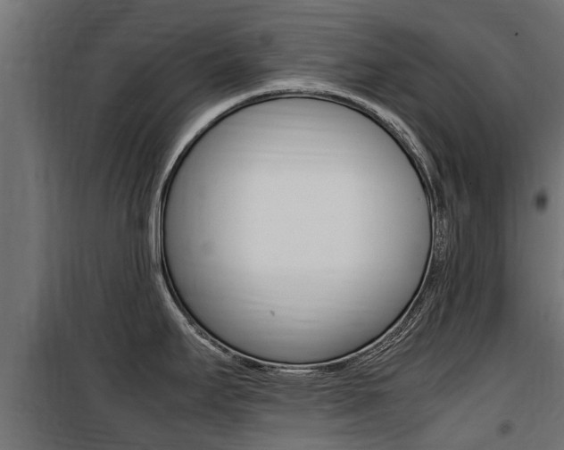 X0000100761295200806190900