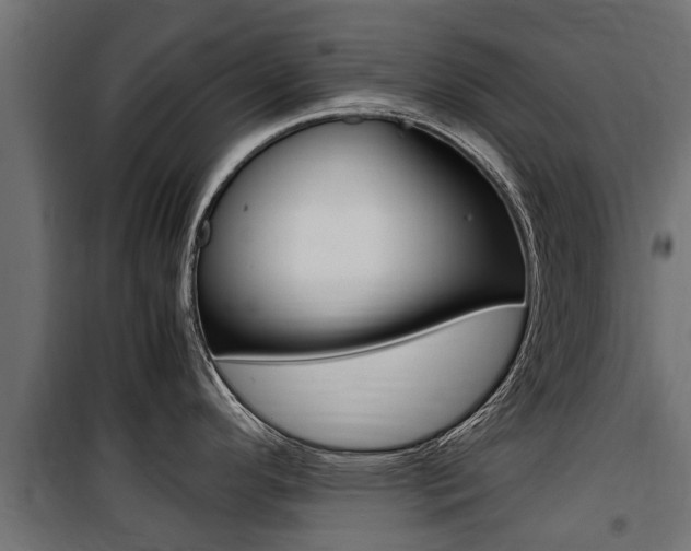 X0000100761296200806190900