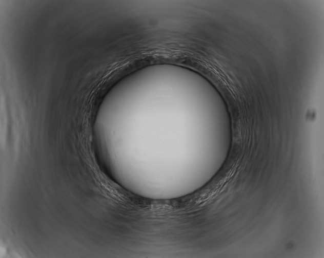 X0000100761297200806190859