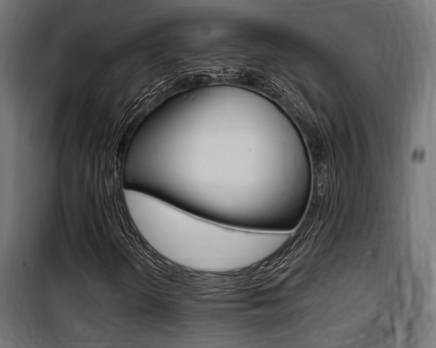 X0000100761298200806190859
