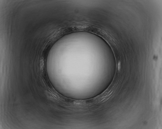 X0000100761299200806190859