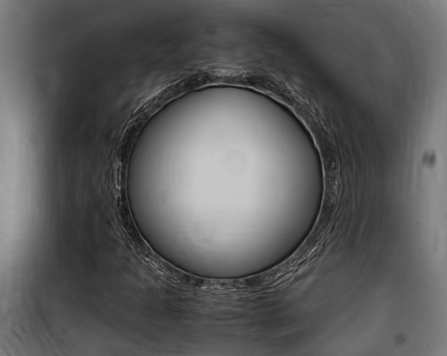 X0000100761301200806190859