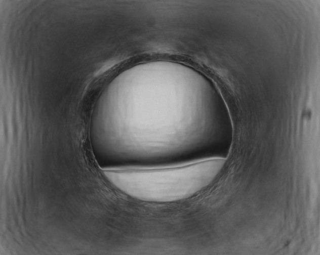 X0000100761303200806190859