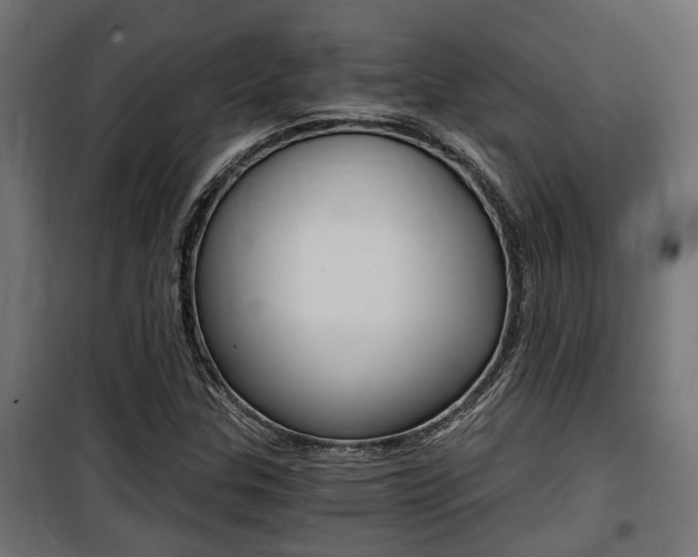 X0000100761307200806190900