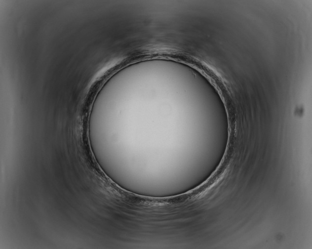 X0000100761309200806190900