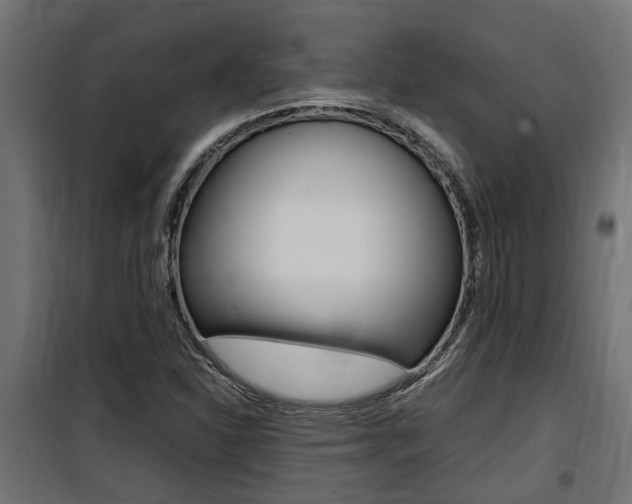 X0000100761310200806190900