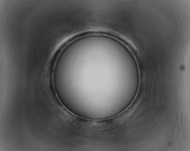 X0000100761311200806190900