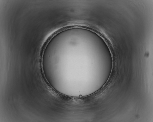 X0000100761312200806190900