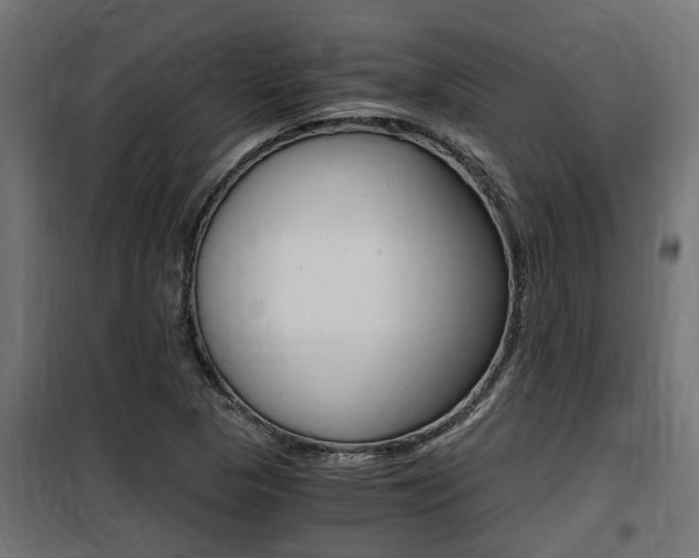 X0000100761313200806190900