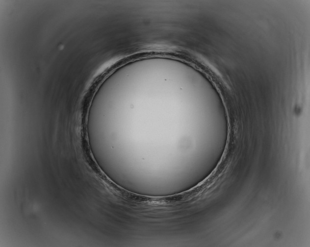 X0000100761315200806190900