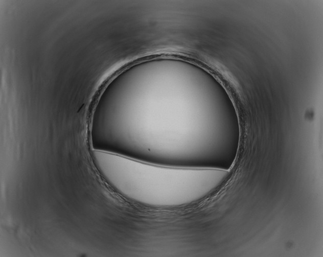 X0000100761316200806190900