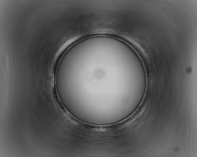 X0000100761317200806190900