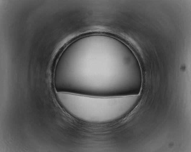 X0000100761318200806190900