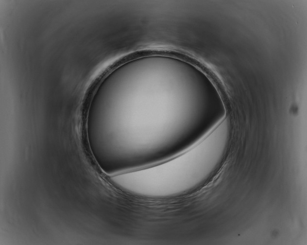 X0000100761319200806190900