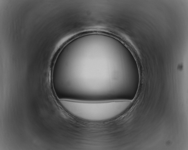 X0000100761320200806190900