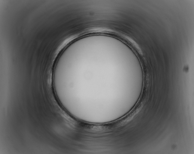 X0000100761322200806190900