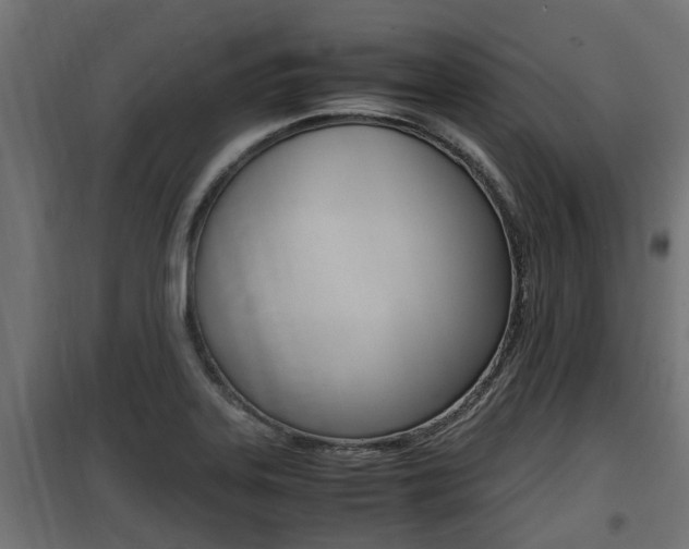 X0000100761323200806190900