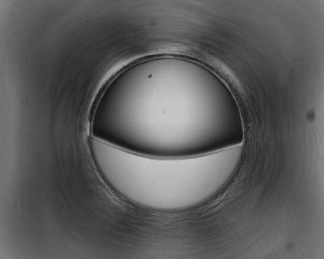 X0000100761324200806190900